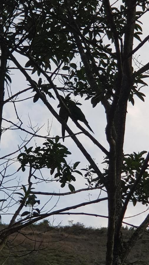 Vale Das Maritacas Teresopolis Villa Eksteriør bilde