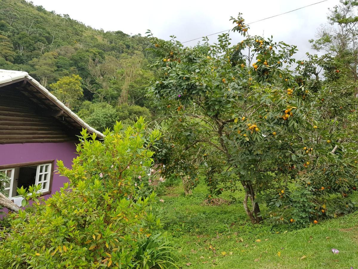 Vale Das Maritacas Teresopolis Villa Eksteriør bilde